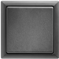 Eltako 30000977 Doppelwippe für Wipptaster, reinweiß glänzend DW-W2T55
