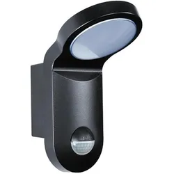 Esylux, Fassadenbeleuchtung, LEDStrahler AOL 100 LED 5K sw (900 lm, IP55)