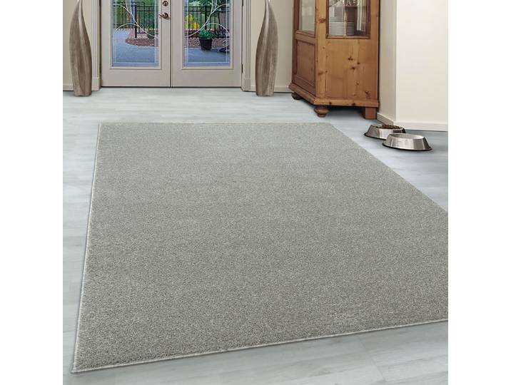 Kurzflorteppich Ata Beige/Creme 60 x 100cm Polyester