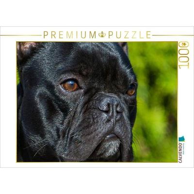 CALVENDO Puzzle Französische Bulldogge | 1000 Teile Lege-Größe 64x48cm Foto-Puzzle für glückliche Stunden