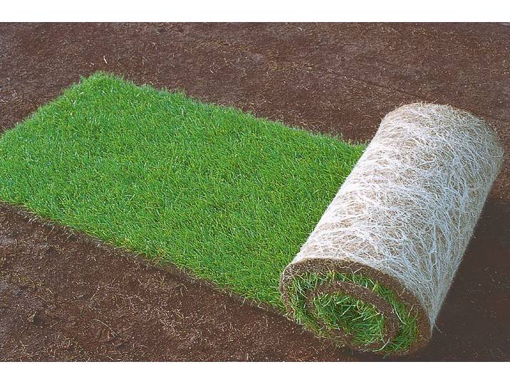 Schweizer Rollrasen 40 × 250 cm