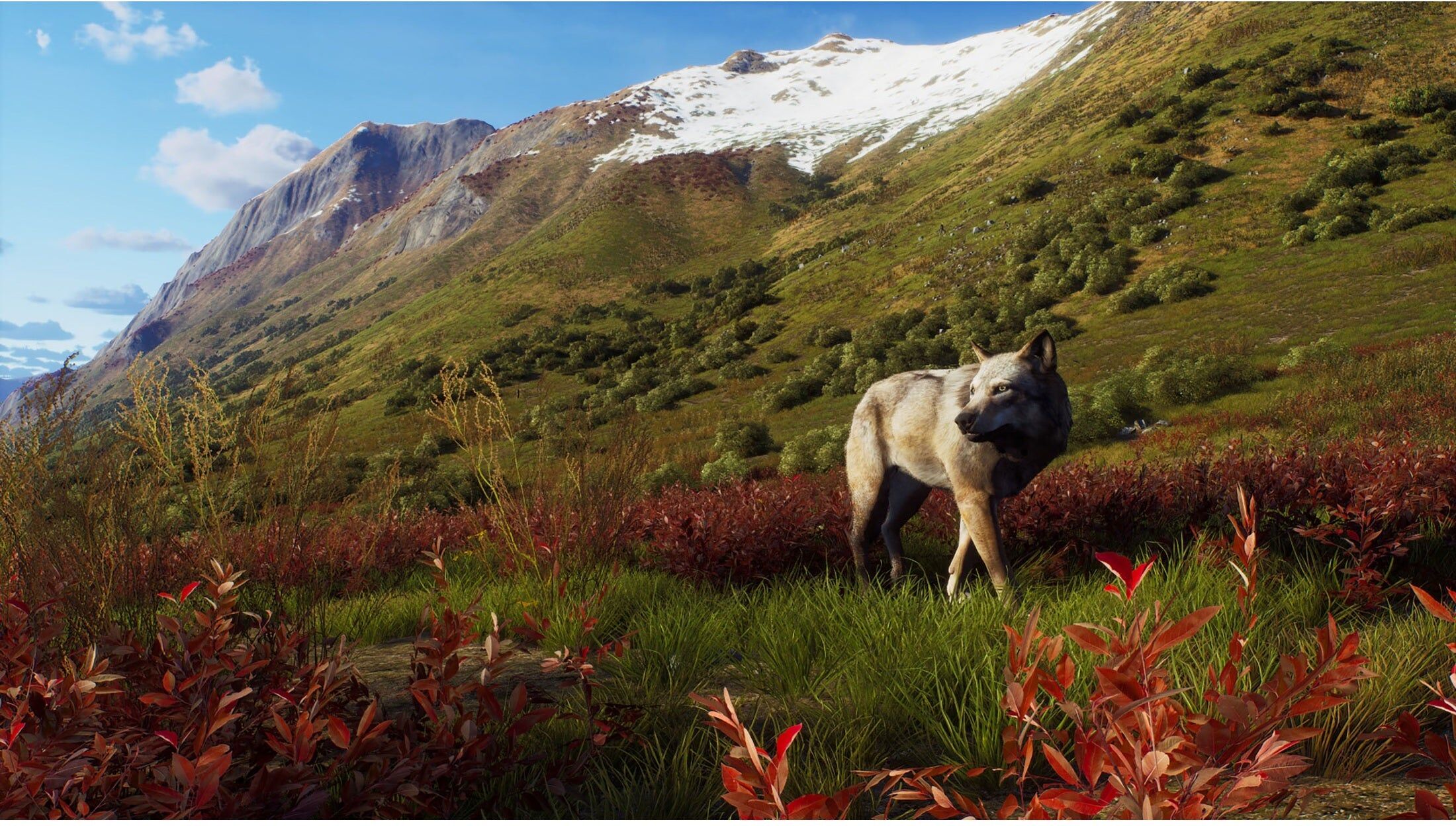 THQ Nordic Way of the Hunter: Wild Expeditions – Xbox Series X (Disc) for Xbox Series X