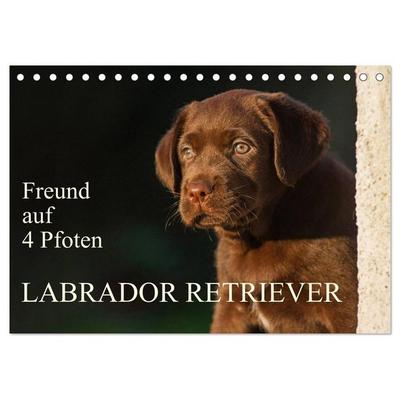 Freund auf 4 Pfoten - Labrador Retriever (Tischkalender 2026 DIN A5 quer), CALVENDO Monatskalender