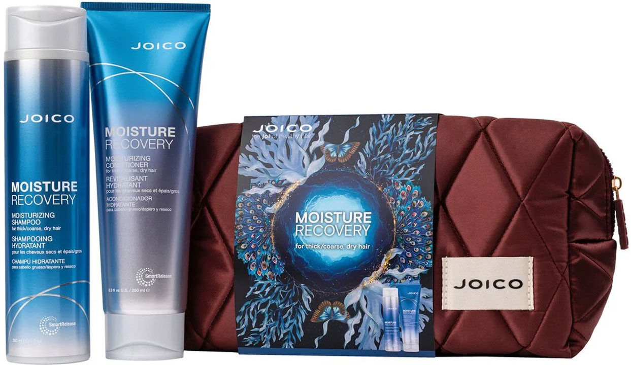 JOICO Moisture Recovery Dreamscape Duo Gift Set