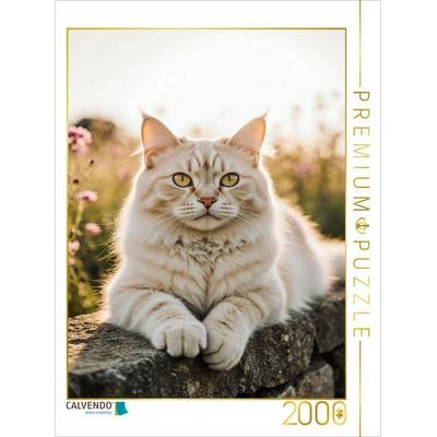 CALVENDO Puzzle Die Maine Coon Katze liegt entspannt auf einer Mauer und genießt das warme Sonnenlicht. | 2000 Teile Lege-Größe 90x67cm Foto-Puzzle fü