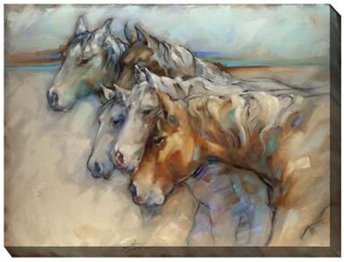 COMPANIONS by West of the Wind in Multi