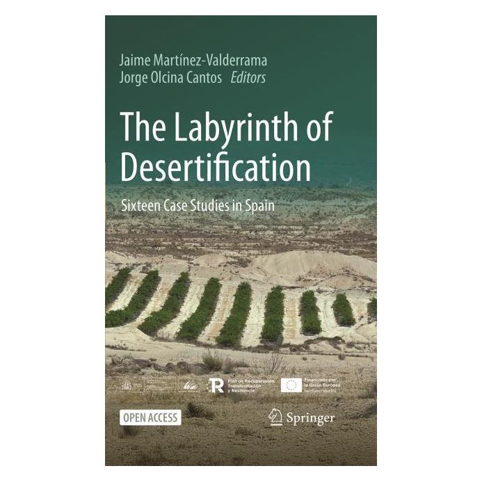 Springer The Labyrinth of Desertification (Englisch, Hardcover) (64775624)