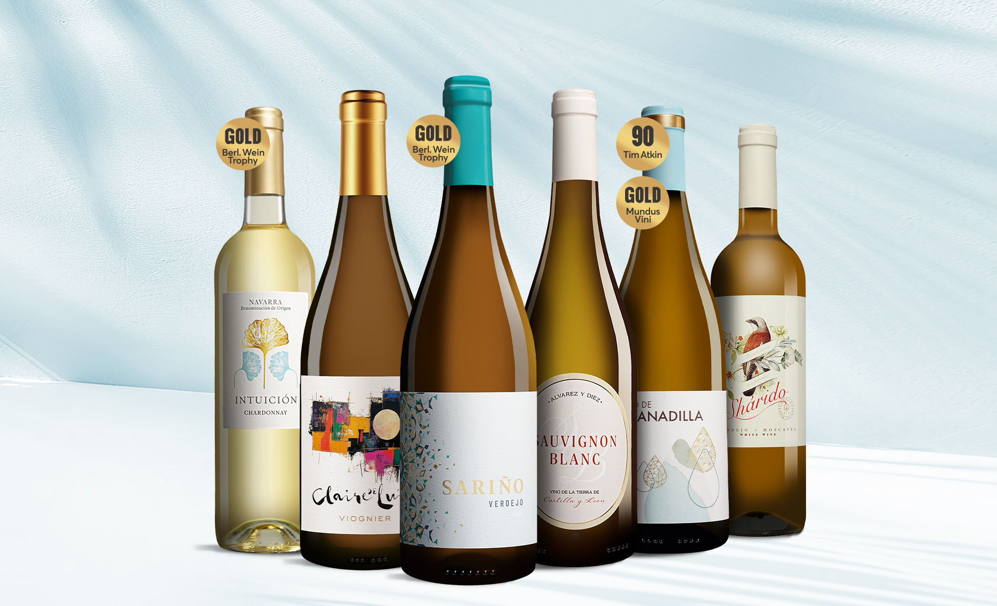 Blanco Favoriten Weinpaket  aus Spanien