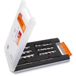 Fein Zubehörset Best of Kernbohrer 3/4 in Weldon 50 mm bestehend aus 6 Kernbohrern - 63134999063