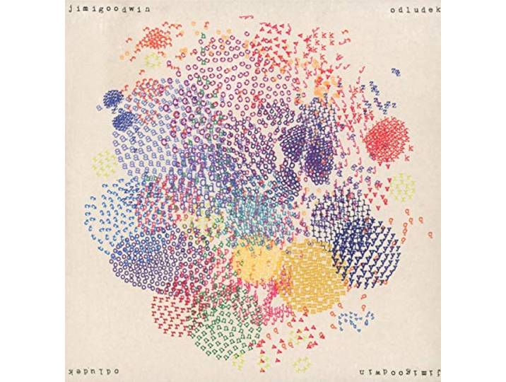 Jimi Goodwin - Odludek