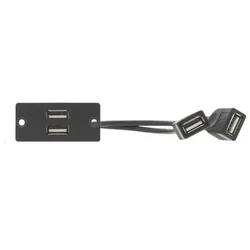 Kramer Wall-Plate Einsatz WU-2AA(B)
