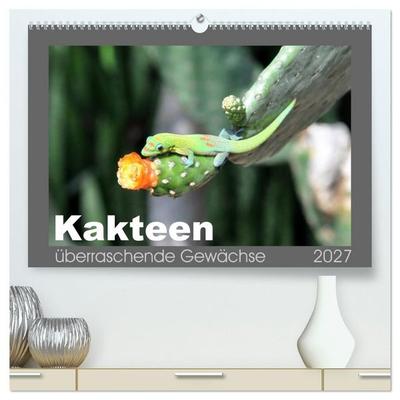 Kakteen - überraschende Gewächse (hochwertiger Premium Wandkalender 2027 DIN A2 quer), Kunstdruck in Hochglanz