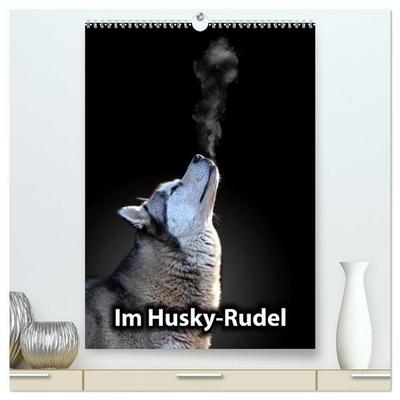 Im Husky-Rudel (hochwertiger Premium Wandkalender 2027 DIN A2 hoch), Kunstdruck in Hochglanz
