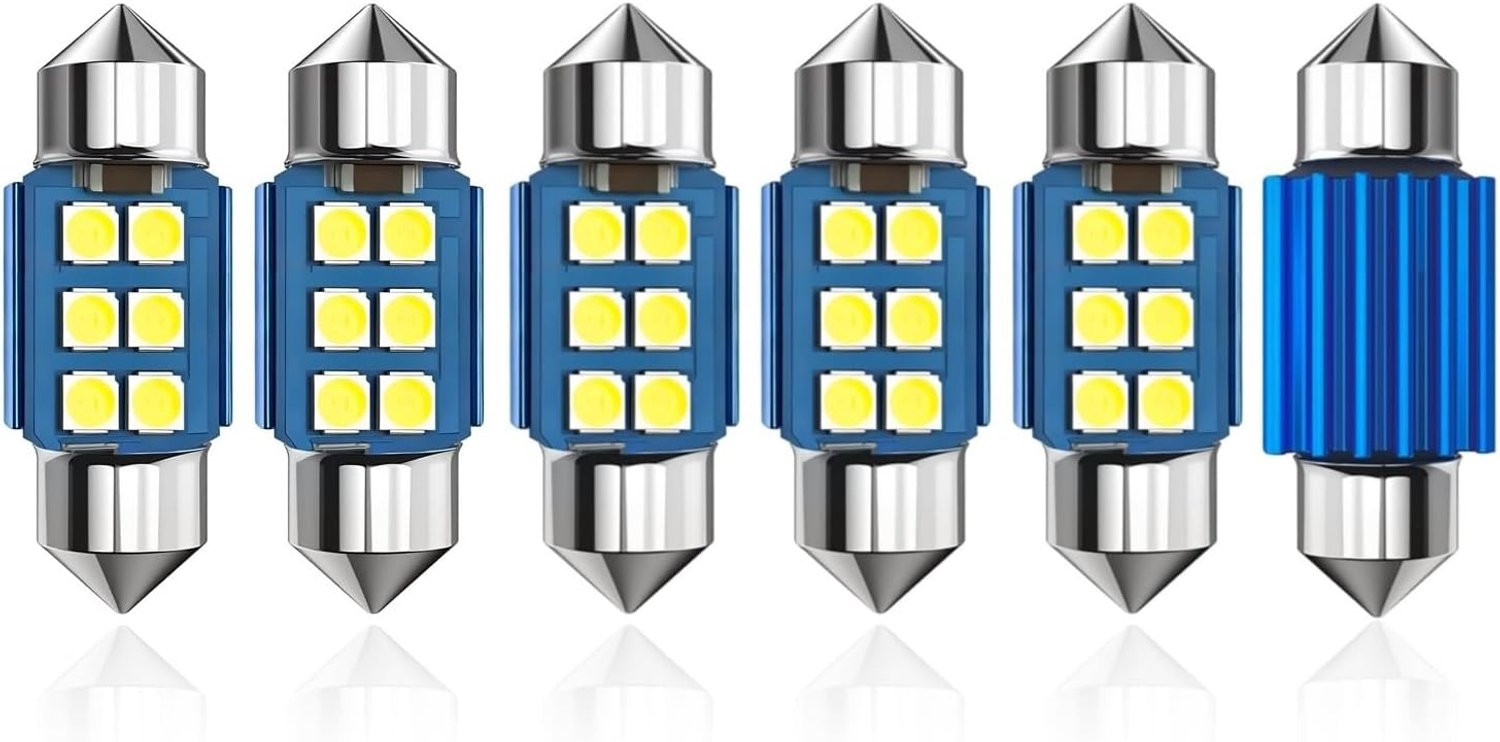 Set van 6 ledlampen 31 mm, 6000 K wit, 12 V, plug and play