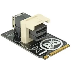 Delock SFF-8643 NVMe horizontal 2242, SSD + Festplatte Zubehör
