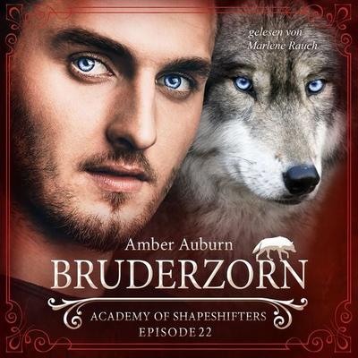 Bruderzorn, Episode 22 - Fantasy-Serie - Amber Auburn, Audio, 9783947099634
