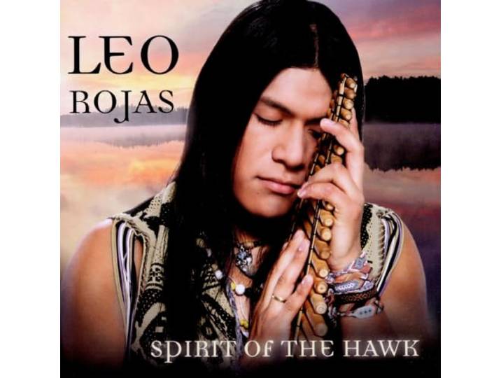 Spirit Of The Hawk