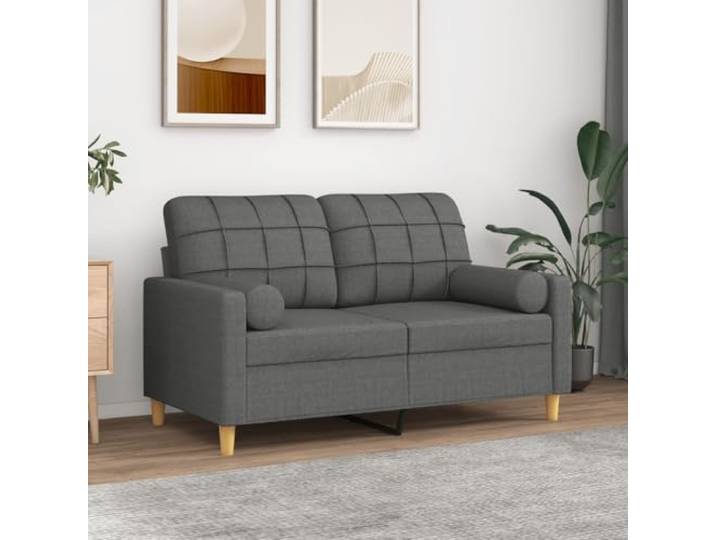 HEFZGDB Modernes 2-Sitzer-Sofa mit Zierkissen Dunkelgrau 120 cm Stoffbezug Abnehmbare Bezüge Strapazierfähiges Material Robustes Metallgestell Bequeme Polsterung Wohnzimmer Möbel