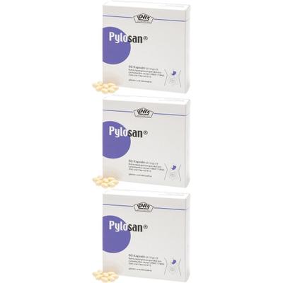 Pylosan Kapseln x3 3x60 St
