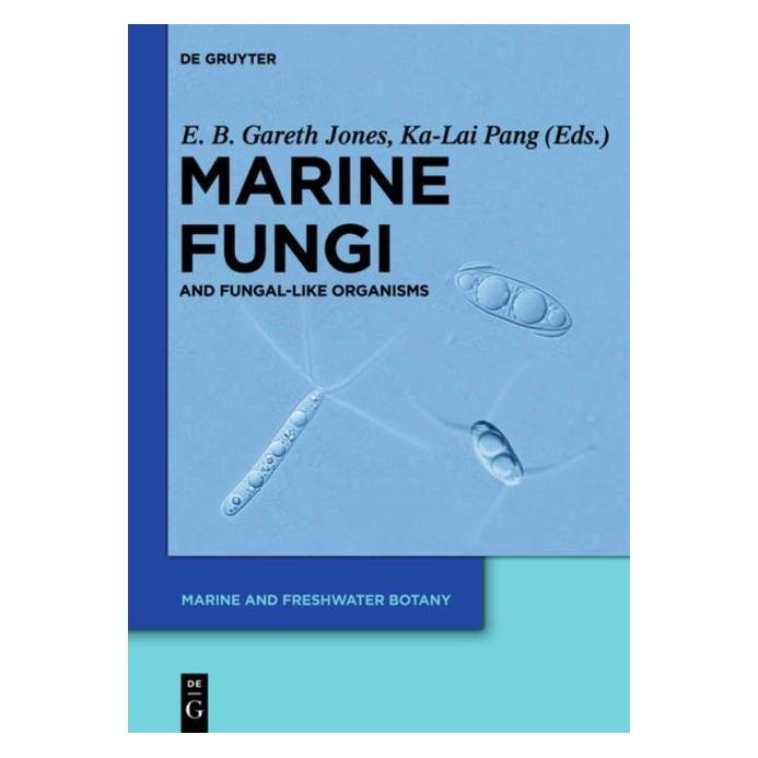De Gruyter Marine Fungi (Englisch, Hardcover) (67763117)