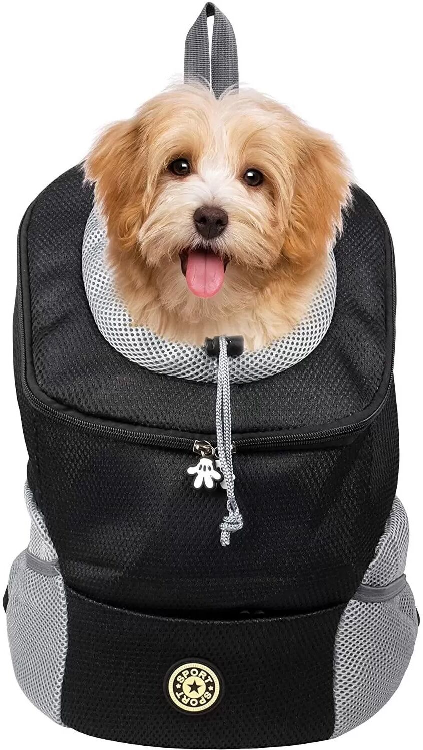INF Hundetragetasche Rucksack (M) Schwarz - atmungsaktiv, mit Taschen und Karabiner