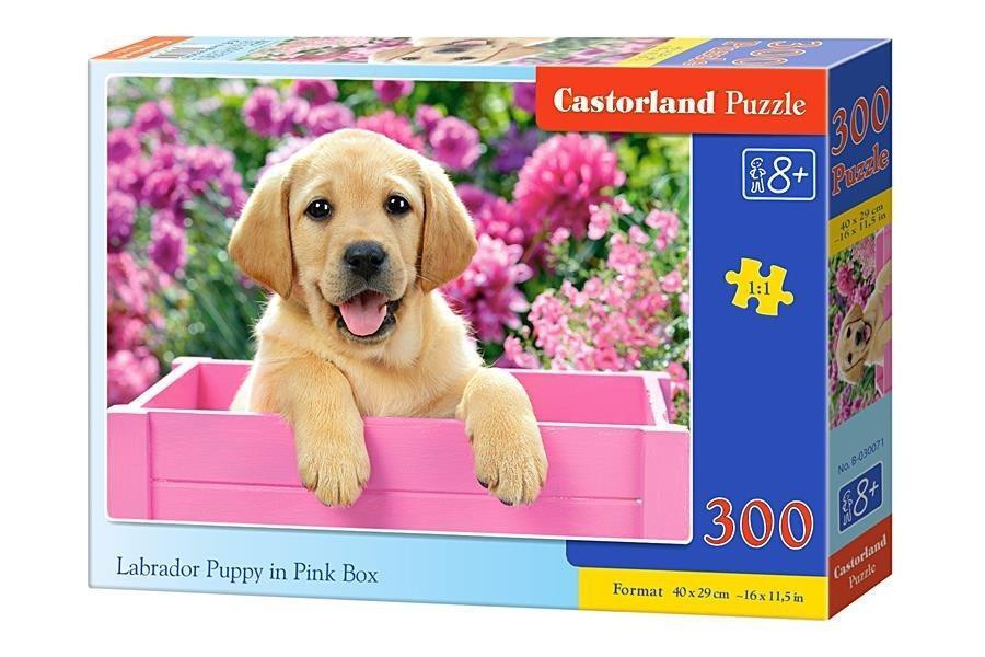 Castorland Puzzel 300 stukjes Labrador Puppy in roze doos 30071