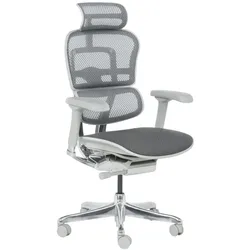 Ergohuman ELITE 2 Ergonomischer Bürostuhl – Grau