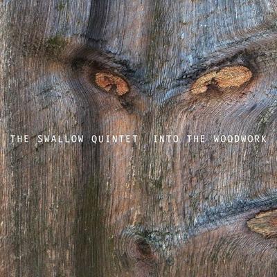 Into The Woodwork - Steve Swallow Quintet, CD