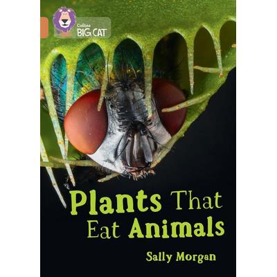 Plants that Eat Animals, Taschenbuch von Sally Morgan, HarperCollins, 978-0-00-847904-6