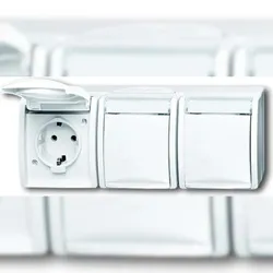 Busch-Jaeger Steckdose 3fach 2300/3 EWN-54 2CKA002084A0716