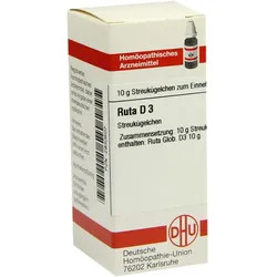 Ruta D 3 10 G