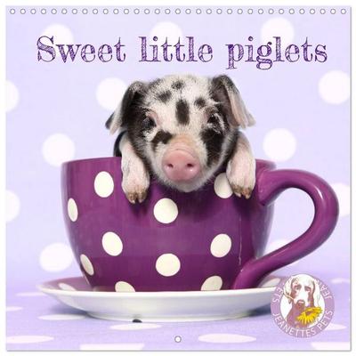 Sweet little piglets (Wall Calendar 2027 12 × 12 Inch) CALVENDO 12 Month Wall Calendar