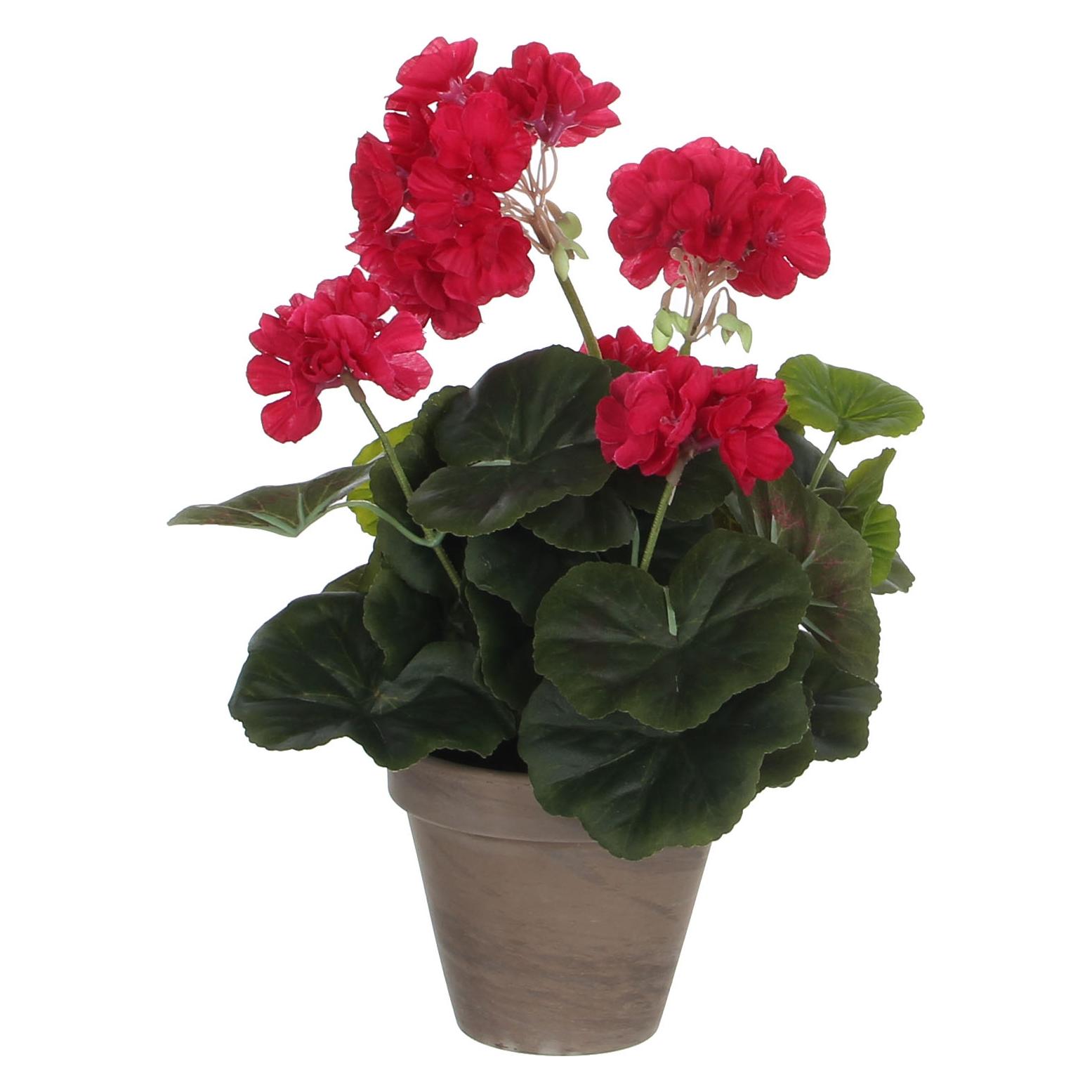Mica Decorations Dekorationspflanze (34 cm) (975166)