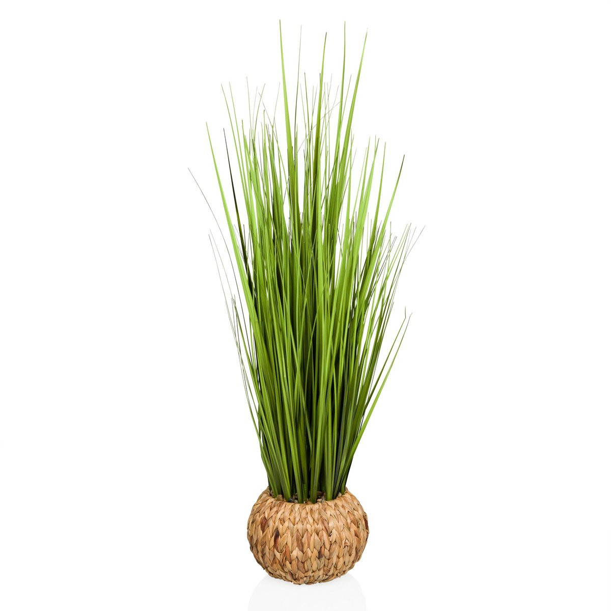 Kunstplant Cortaderia Pampasgras Groen hjh OFFICE