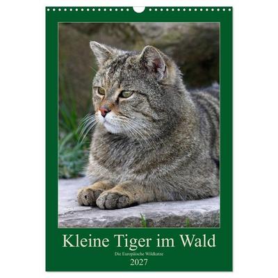 Kleine Tiger im Wald (Wandkalender 2027 DIN A3 hoch), CALVENDO Monatskalender