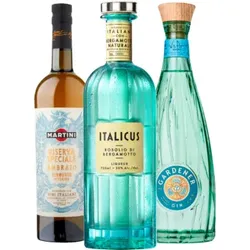 Weinpaket - Cocktail Italicus + Gin + Vermouth - 3 Fl. - 2.2L