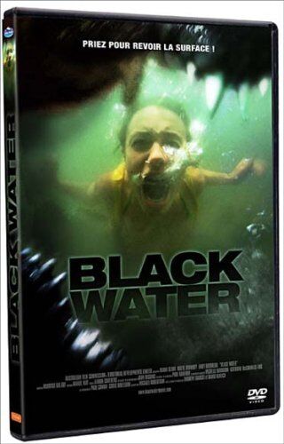 David Nerlich - Black water [FR Import] - Preis vom 11.10.2026 15:43:13 h