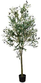 Creative Labs Olive Tree Drop-In