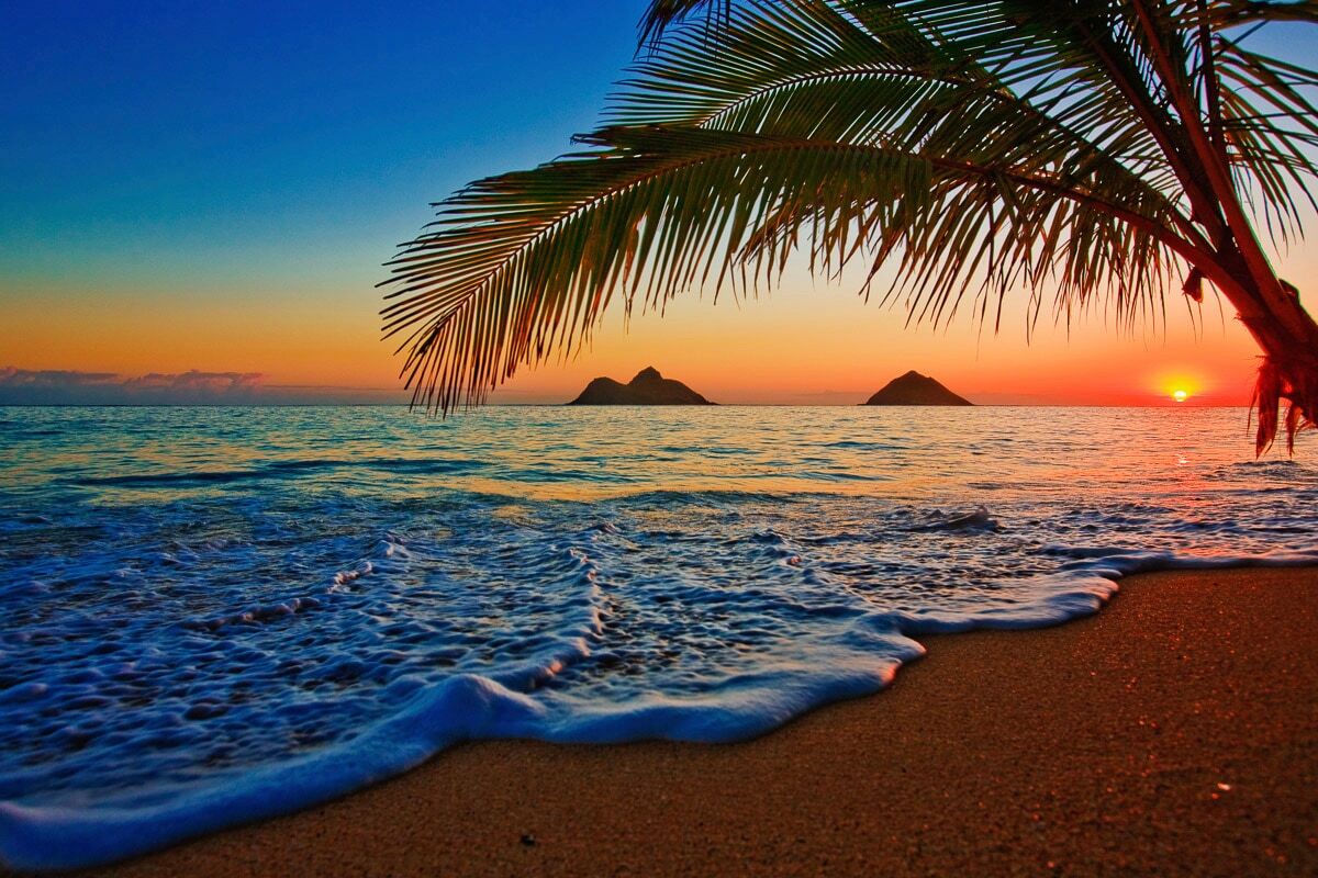 Papermoon "Lanikai Beach Hawaii" bunt B/L: 3m x 2,23m, Bahnen: 6 Stk.