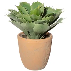 CREATIV green künstliche Pflanze Echeveria, ca 32cm