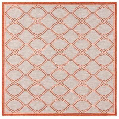 SAFAVIEH Beach House Salihe Transitional Rug