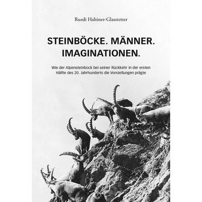Steinböcke. Männer. Imaginationen., Paperback von Ruedi Haltiner-Glasstetter, Edition Somedia, 978-3-907095-22-5