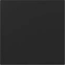 Gira 3496005 Wippe gerade System 55 Schwarz matt (lackiert)