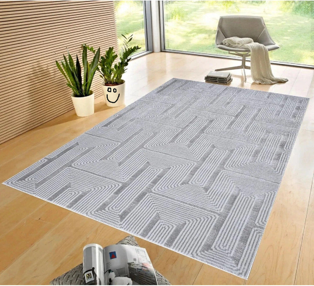 Metro Modern Geometric Area Rug Abstract Textured Carpet For Living Room Bedroom Special Size Long Hallway Rug Floor Mats Small Door Mats Silver Rectangle 160 x 230 cm
