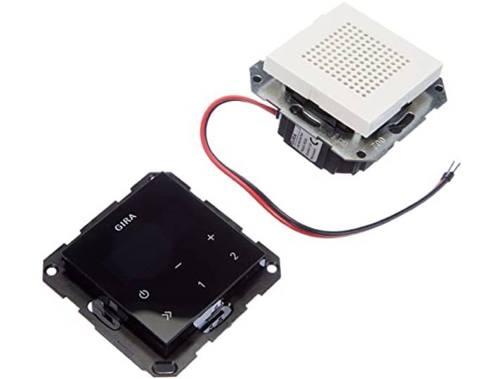 Gira 228003 inbouwradio RDS-systeem 55, zuiver wit