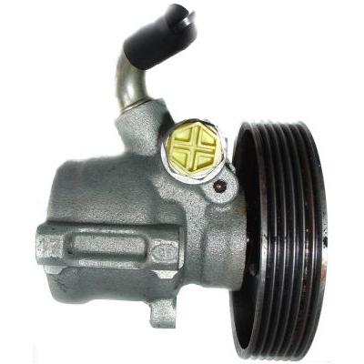 SPIDAN Hydraulikpumpe, Lenkung 53675 für Citroën/Peugeot Peugeot