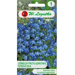 Kap-Lobelie, Stroiczka – blau