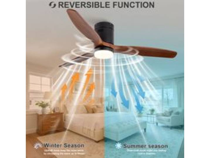 Ventilateur de plafond décoratif 52 pouces 132cm éclairage 3CCT à intensité ajustable moteur CC réversible VENTILATEUR DE PLAFOND