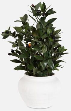 Uttermost Elena Olive Centerpiece