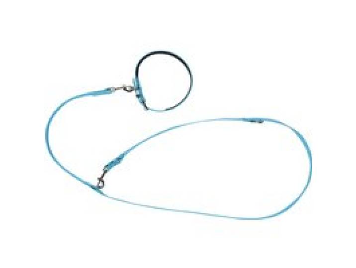 ZOOFARI® Collier et laisse pour chiens, réglable sur 3 positions
